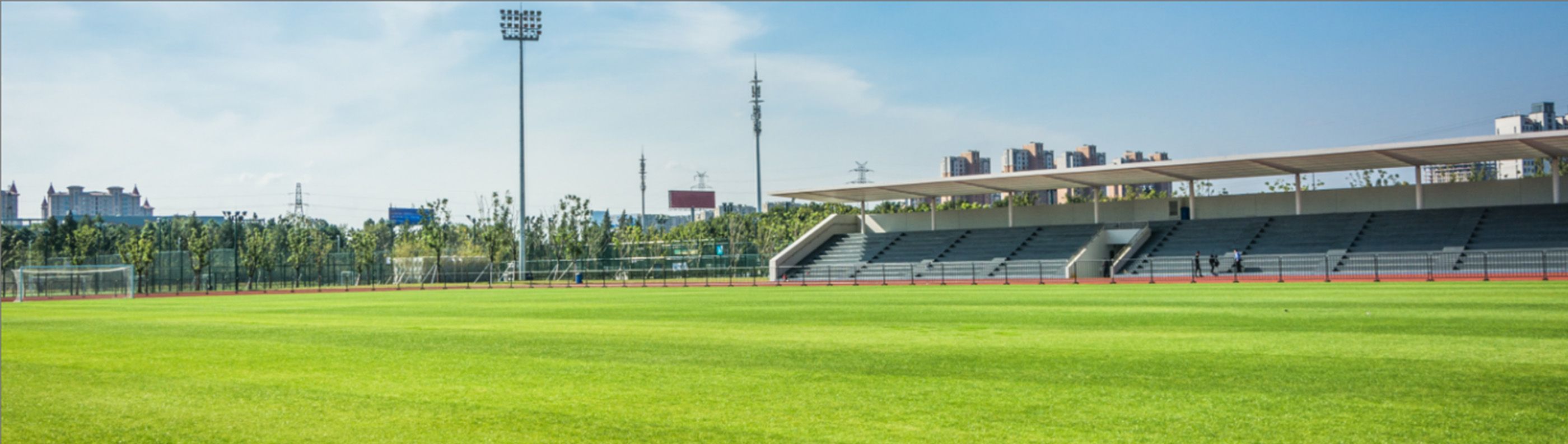 地域スポーツ貢献