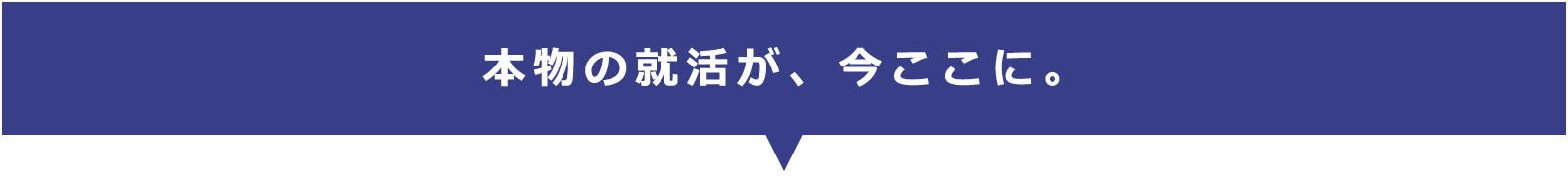 本当の就活がいまここに