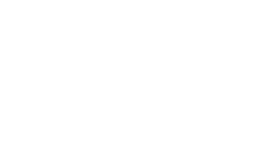 Simulation Game