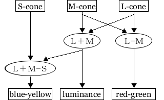 Signal calculation