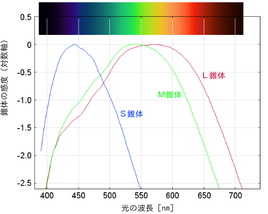 錐体の分光感度
